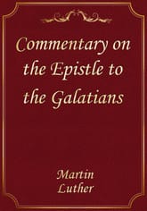 Commentary on the Epistle to the Galatians 표지 이미지