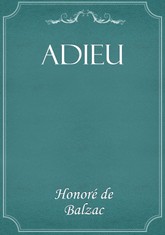 Adieu 표지 이미지