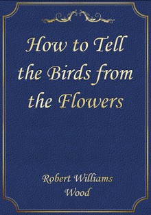 How to Tell the Birds from the Flowers