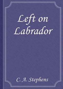 Left on Labrador