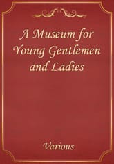 A Museum for Young Gentlemen and Ladies 표지 이미지