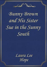 Bunny Brown and His Sister Sue in the Sunny South 표지 이미지