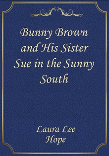 Bunny Brown and His Sister Sue in the Sunny South
