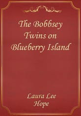 The Bobbsey Twins on Blueberry Island 표지 이미지