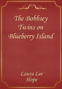 The Bobbsey Twins on Blueberry Island