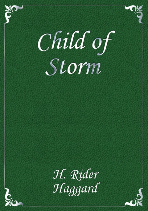 Child of Storm 표지 이미지
