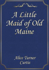 A Little Maid of Old Maine 표지 이미지