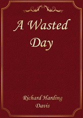 A Wasted Day 표지 이미지