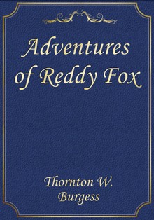 Adventures of Reddy Fox