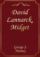 David Lannarck, Midget 표지 이미지