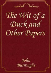 The Wit of a Duck and Other Papers 표지 이미지