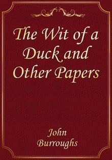 The Wit of a Duck and Other Papers