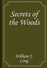 Secrets of the Woods 표지 이미지