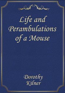 Life and Perambulations of a Mouse