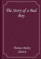 The Story of a Bad Boy 표지 이미지