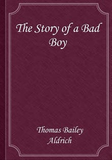 The Story of a Bad Boy