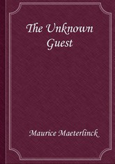 The Unknown Guest 표지 이미지
