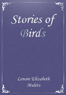 Stories of Birds