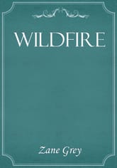 Wildfire 표지 이미지