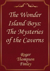 The Wonder Island Boys: The Mysteries of the Caverns 표지 이미지
