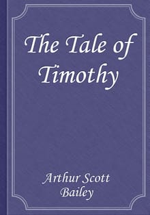 The Tale of Timothy Turtle