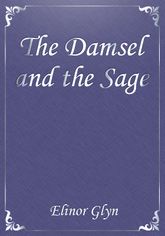The Damsel and the Sage 표지 이미지