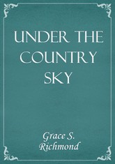 Under the Country Sky 표지 이미지