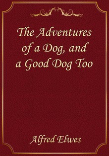The Adventures of a Dog, and a Good Dog Too