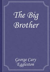 The Big Brother 표지 이미지