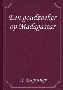 Een goudzoeker op Madagascar