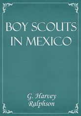 Boy Scouts in Mexico 표지 이미지