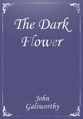 The Dark Flower 표지 이미지