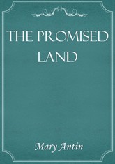 The Promised Land 표지 이미지