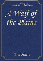 A Waif of the Plains 표지 이미지