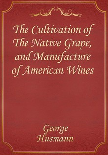 The Cultivation of The Native Grape, and Manufacture of American Wines