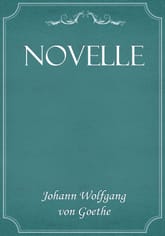 Novelle 표지 이미지