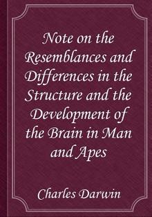 Note on the Resemblances and Differences in the Structure and the Development of the Brain in Man and Apes