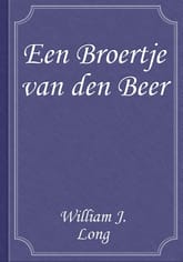 Een Broertje van den Beer 표지 이미지