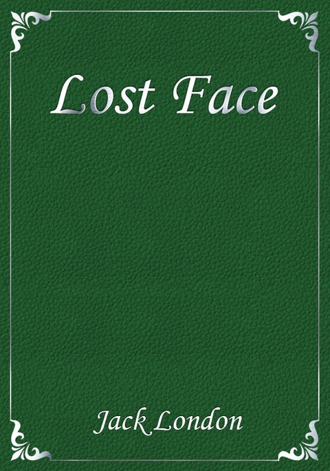 Lost Face 표지 이미지