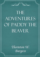 The Adventures of Paddy the Beaver 표지 이미지