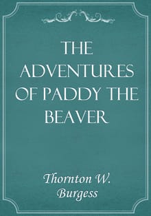 The Adventures of Paddy the Beaver