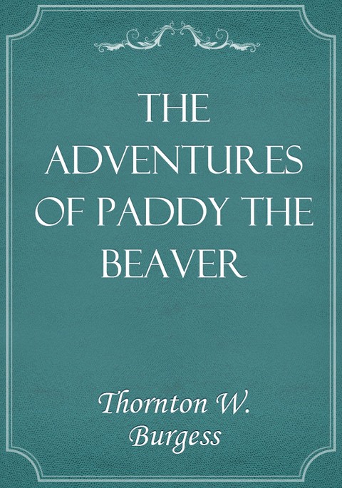 The Adventures of Paddy the Beaver 표지 이미지