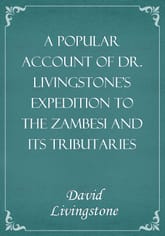 A Popular Account of Dr. Livingstone's Expedition to the Zambesi and its tributaries 표지 이미지