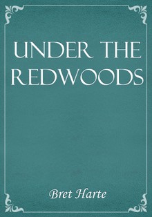 Under the Redwoods