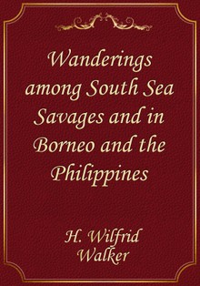 Wanderings among South Sea Savages and in Borneo and the Philippines