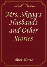 Mrs. Skagg's Husbands and Other Stories 표지 이미지
