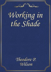Working in the Shade 표지 이미지