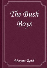 The Bush Boys 표지 이미지