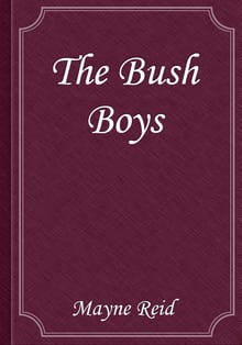 The Bush Boys