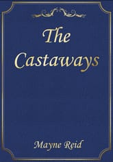 The Castaways 표지 이미지